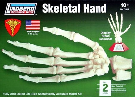 Lindberg Skeletal Hand with Display image