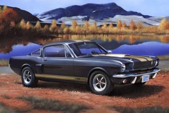 Revell 1/24 Shelby Mustang GT350H image