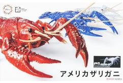 Fujimi Biology Crayfish (Clear Version) image