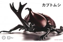 Fujimi Biology Edition Beetle image