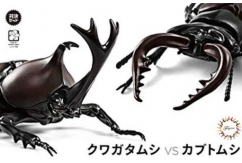 Fujimi Biology Edition Beetle vs Stag Beetle Showdown Set image