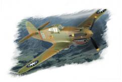 HobbyBoss 1/72 P-40B/C Hawk-81A image
