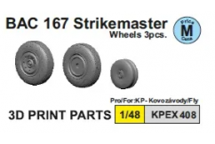 Kovozavody Prostejov 1/48 BAC 167 Strikemaster (3D Wheels for Fly Version) image
