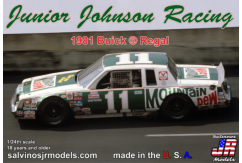 Salvinos Jr 1/24 J.Johnson Buick 1981 Buick Cup Champion driven by Darrel Waltrip image