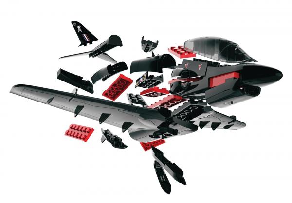 hawk2