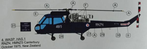 wasp3
