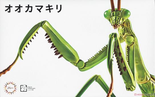 Fujimi Biology Edition Big Mantis image