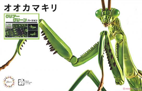 Fujimi Biology Edition Big Mantis (Clear Green) image