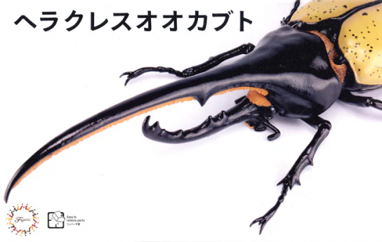 Fujimi Biology Edition Hercules Beetle Dynastes Hercules  image