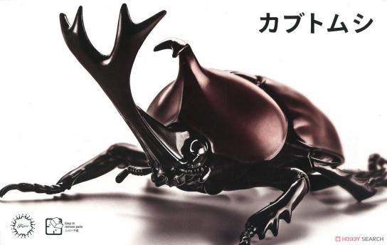 Fujimi Biology Edition Beetle image