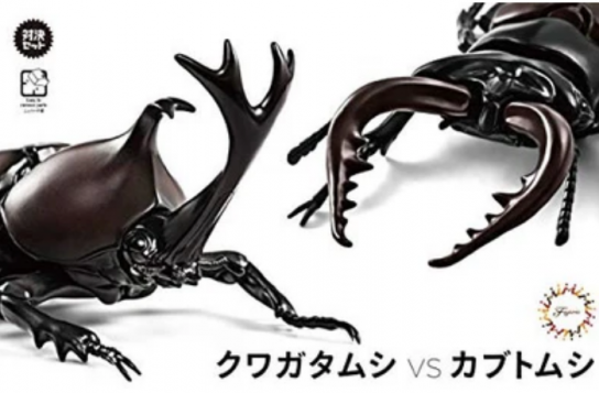 Fujimi Biology Edition Beetle vs Stag Beetle Showdown Set image